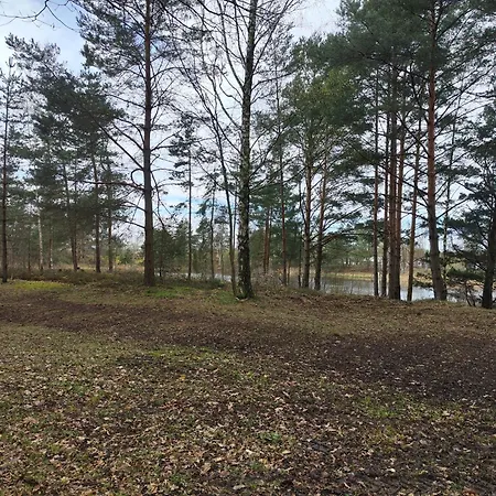 Kleine Freiheit Nummer 5 * Reichendorf